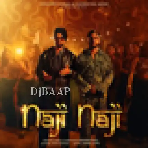 Naji Naji album art