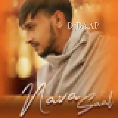 Nava Saal album art