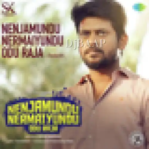 Nenjamundu Nermaiyundu Odu Raja Rebirth thumbnail