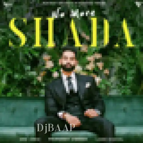No More Shada album art