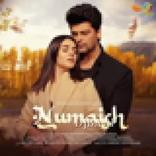Numaish thumbnail