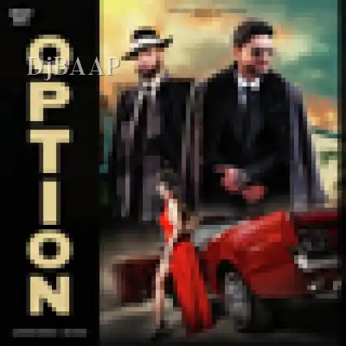 Option album art