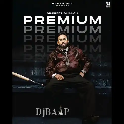 Premium album art