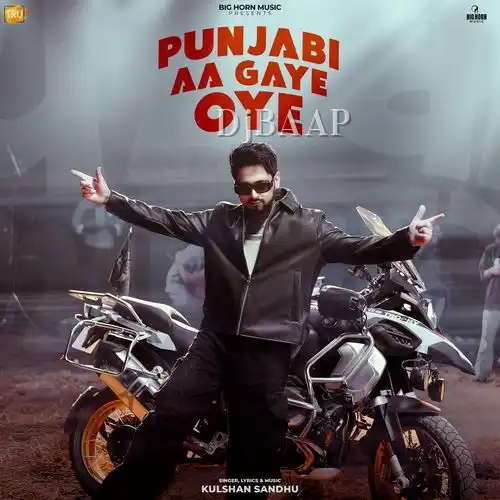 Punjabi Aa Gaye Oye album art