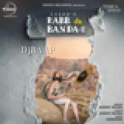Rabb Da Banda 2 album art