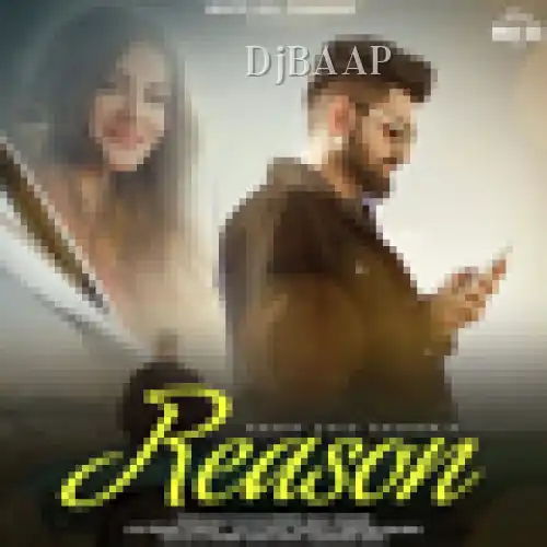 Reason album art