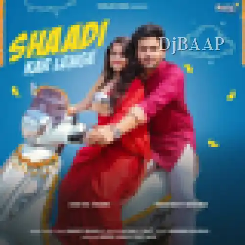 Shaadi Kar Lenge album art