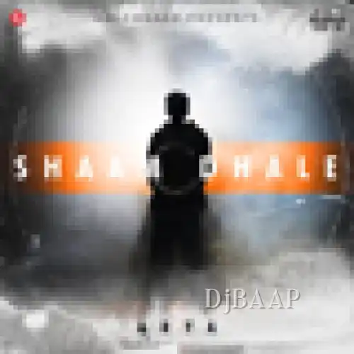 Shaam Dhale album art
