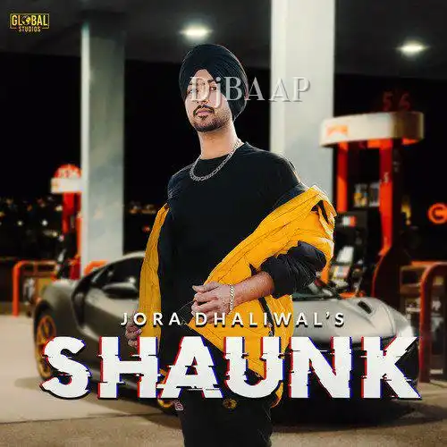 Shaunk album art