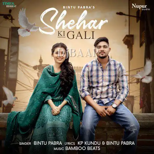 Shehar Ki Gali album art