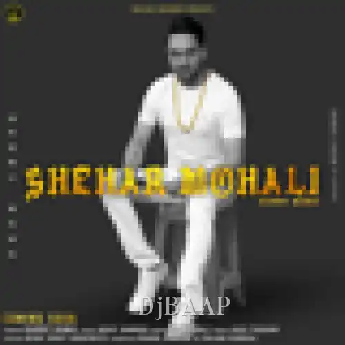 Shehar Mohali thumbnail