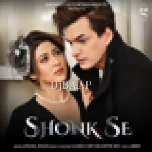 Shonk Se album art