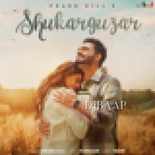 Shukar Guzar album art