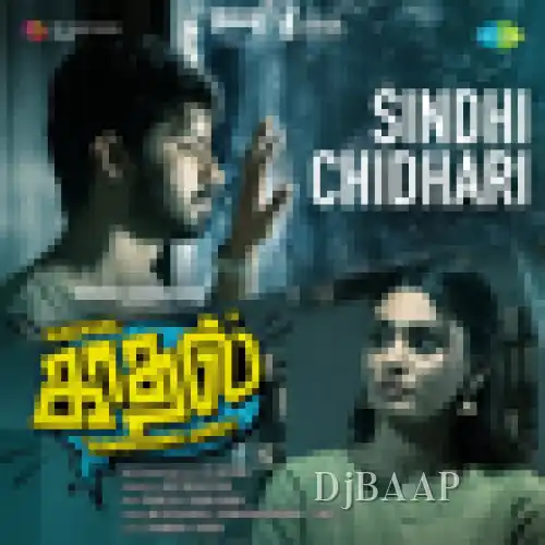 Sindhi Chidhari thumbnail