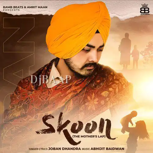 Skoon album art