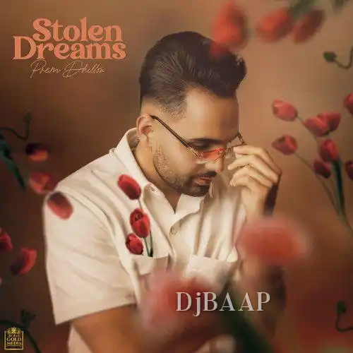 Stolen Dreams