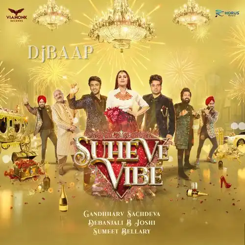 Suhe Ve Vibe album art