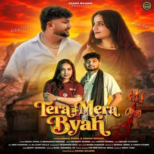 Tera Mera Byah album art