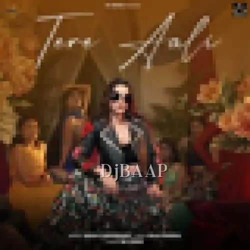 Tere Aali album art