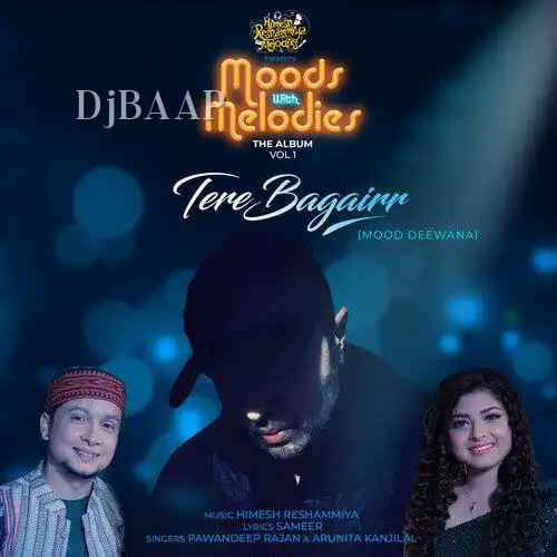 Tere Bagairr album art