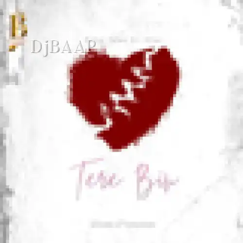 Tere Bin album art