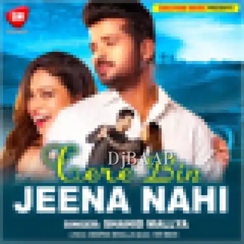 Tere Bin Jeena Nahi Hindi album art