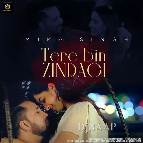 Tere Bin Zindagi thumbnail