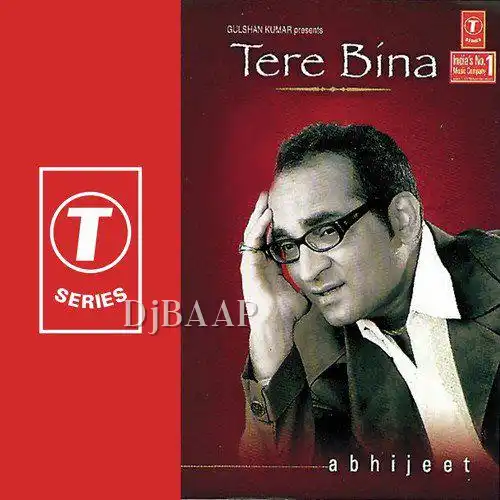 Ho Gaya Ho Gaya album art