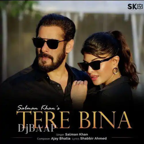 Tere Bina album art