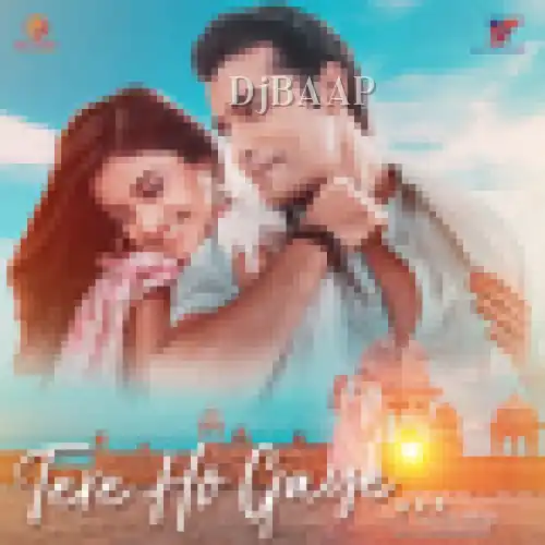 Tere Ho Gaye thumbnail