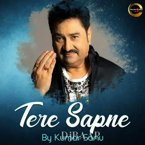Teri Sadgi album art