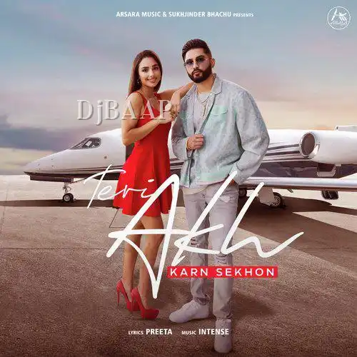 Teri Akh album art