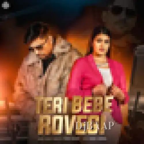 Teri Bebe Rovegi album art
