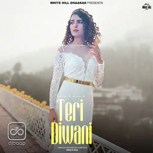 Teri Diwani