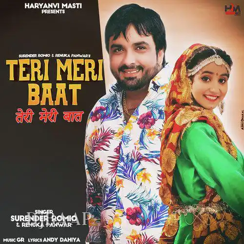 Teri Meri Baat album art