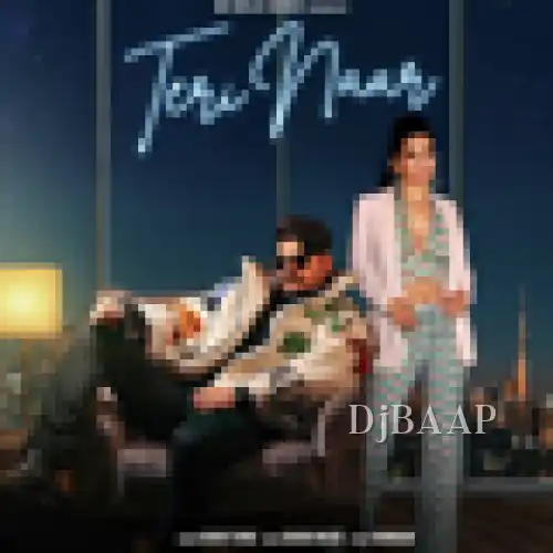 Teri Naar album art