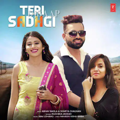 Teri Sadhgi album art