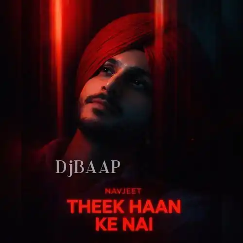 Theek Haan Ke Nai album art