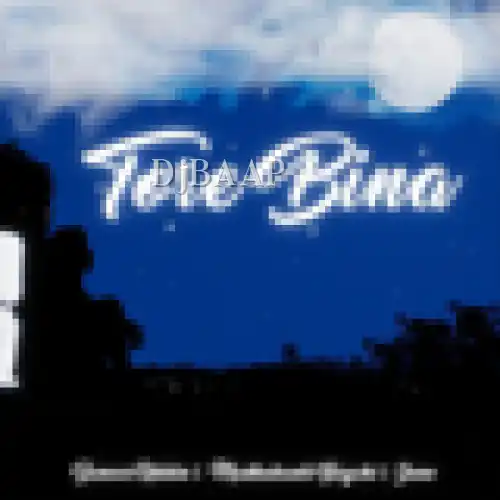 Tore Bina album art