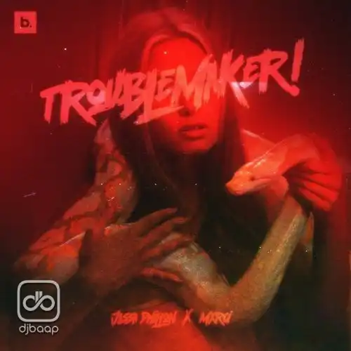Trouble Maker