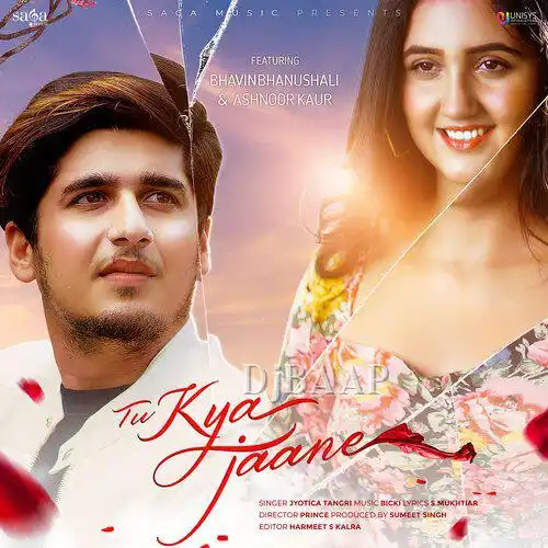 Tu Kya Jaane album art