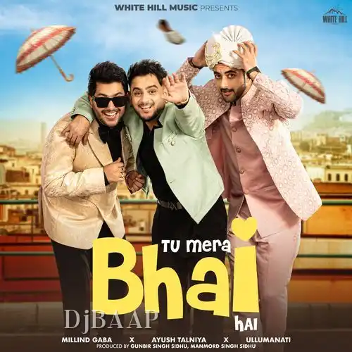 Tu Mera Bhai Hai thumbnail