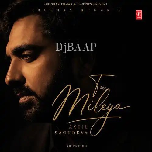 Tu Mileya album art