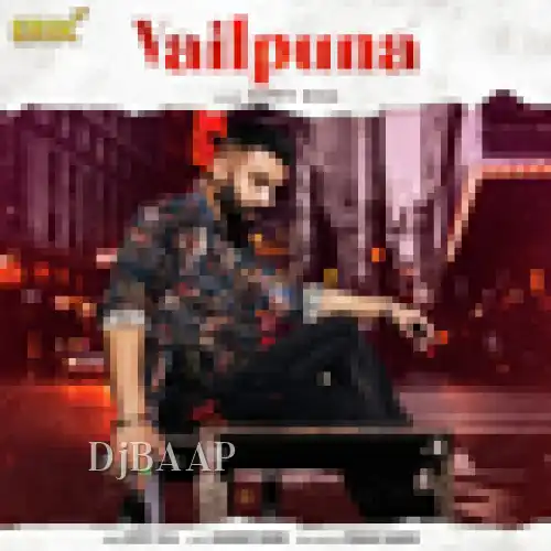 Vailpuna album art