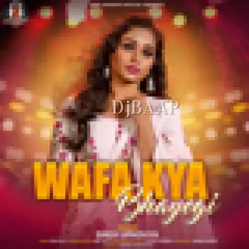 Wafa Kya Bhayegi album art
