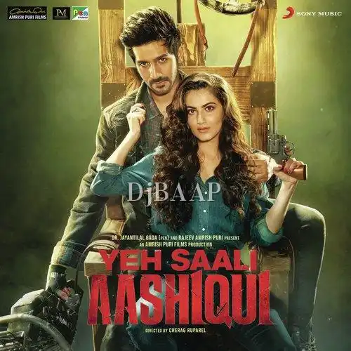 Yeh Saali Aashiqui