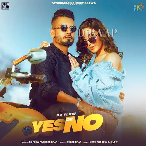 Yes or No feat. Shree Brar thumbnail