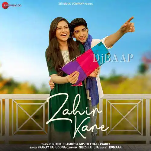 Zahir Kare album art