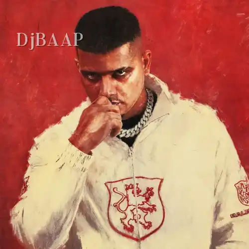 Zigane album art