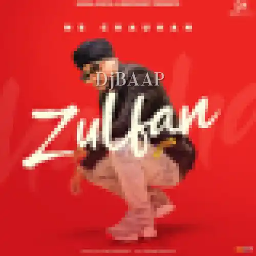 Zulfan album art